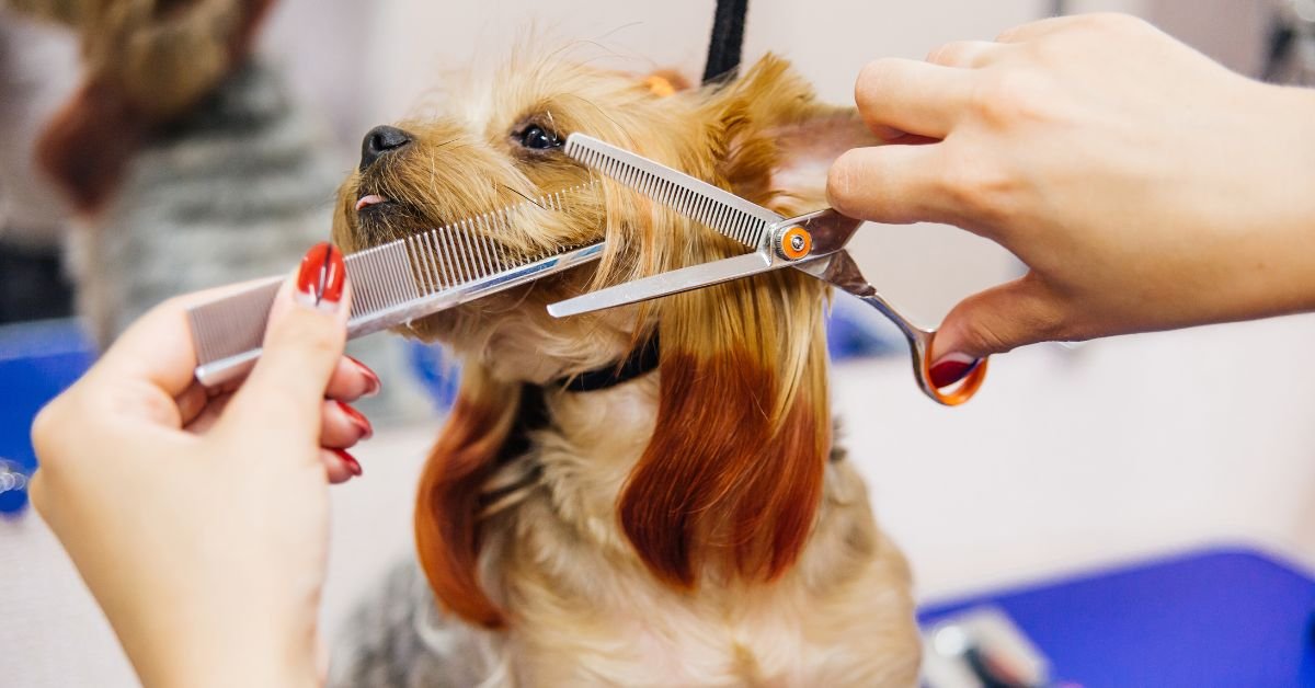 How to Use Thinning Shears on Thick Hair October 2024